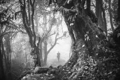 Nepal - Forest Camp,Mardi Himal,Rythm Hotel - 11 Days Exploring Incredible Mardi Himal Trek, Nepal