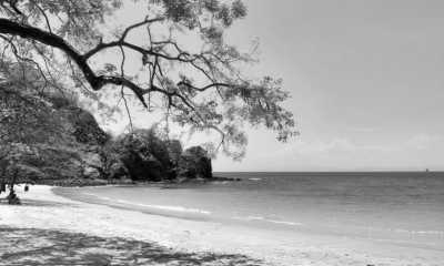 Costa Rica - Tamarindo - Majestic Adventures in Costa Rica: Beaches, Volcanoes, Hot Springs, Cloud Forest, and Pura Vida Lifestyle! - 10