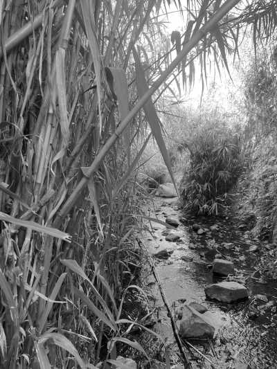 Spain - Valle Gran Rey - Island-Hopping Canary Style: La Gomera, La Palma, Tenerife - Escape European autumn with us! ☀️ - 3