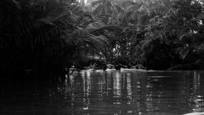 Philippines - Sorsogon City - Albay’s Thrilling Escapades: From Majestic Mountains to Crystal Caves, Sun-Kissed Beaches, Cascading Waterfalls, Serene Lakes and Exhilarating ATV Rides! - 2