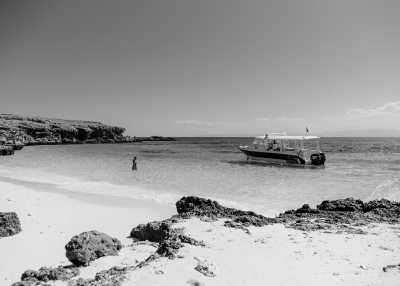 Oman - Ad Dimaniyat Islands - New Year's Oasis ✨: A Magical Journey from Muscat to Salalah - 2