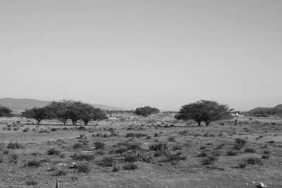 Mexiko - Las Margaritas - Peyote Experience Camping Trip into Wirikuta Desert, Mexico - 2