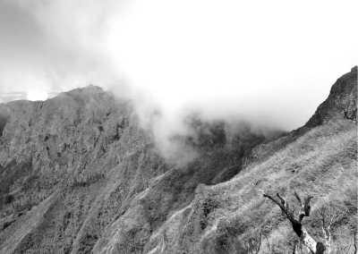 Portugal - Boca da Encumeada - Coworkation and adventurous hiking trip with a knowledgeable expat in the centre of Funchal, Madeira - 2