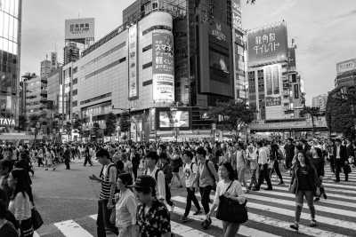 Japan - Shibuya - Discover Japan: Mount Fuji, Samurai Experience, Matcha making and more!