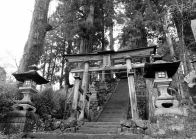 Japan - Nozawaonsen - 🇯🇵Japan Trip To The Future :Food, Culture, Snow & Wildlife - 9