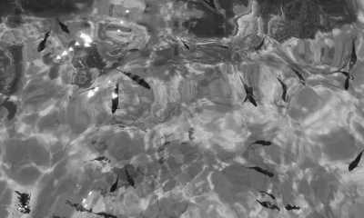 Tanzania - Kiwengwa - 10-day trip around Zanzibar island, Tanzania 🌴 - 13