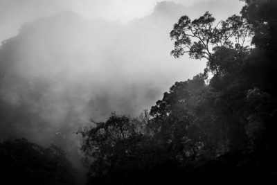 Südostasien - Phong Nha-Kẻ Bàng - Vietnam mit einem Abstecher auf die Philippinen - 2