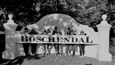 South Africa - Stellenbosch - Südafrika: das Kap, der Wein, die große und kleine Karoo, Gardenroute, garantierte Durchführung - 11