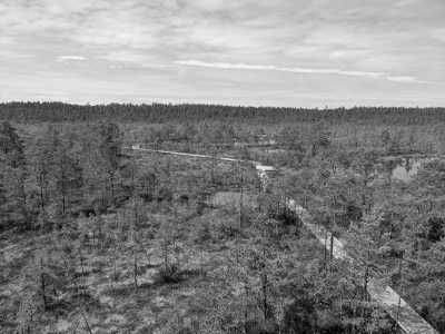 Northern Europe - Loksa tee - Discover the Baltic States: Tallinn, Riga, Vilnius and Much More! - 4