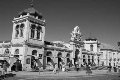 Portugal - Loulé - Workation in the Beautiful Algarve: Sea Views, Rustic Nature (Room Sharing) - 1