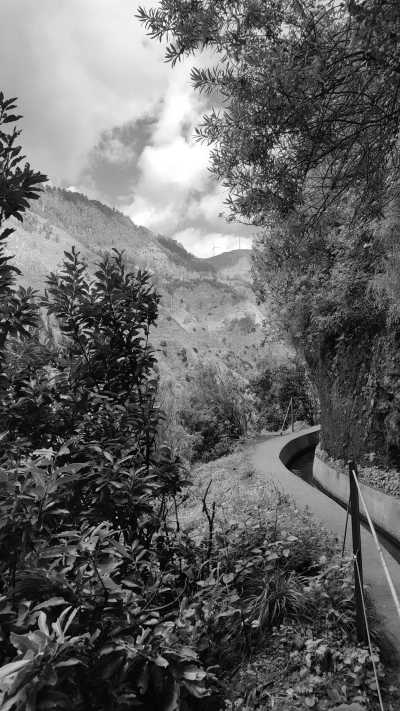 Portugal - Levada Nova - ☀️ Hike, explore and more..  Adventure in Hawaii of Europe, Madeira, Portugal  🌺🏝️ - 3