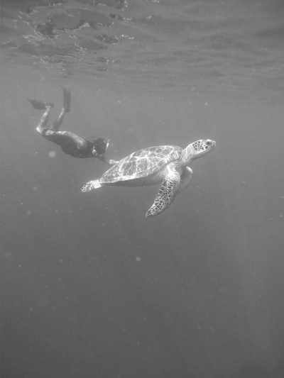 Indonesien - Lombok - Indonesian Odyssey: Island-Hopping from Yogyakarta to Lombok - Embark on a Journey Through Nature's Wonders - 3