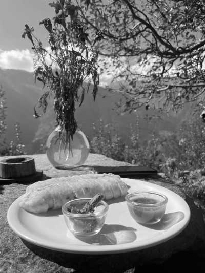 India - Manali - Himalayan Odyssey: Discovering the Beauty of Himachal Pradesh in India - 2