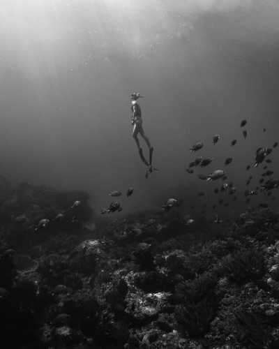 Egypt - Three Pools Dive Site - Exploring the Beauty of Dahab: A Journey through Desert and Sea - 6