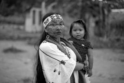 Brazil - Amazon Rainforest - Spiritual Retreat in the Heart of the Amazon Rainforest 🌳 - 4