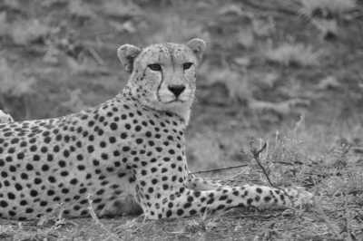South Africa - Blyde River Dam Visitor Center - Südafrika: Wilde Tiere, der Krüger Nationalpark, Blyde River Canyon und Johannesburg - 2