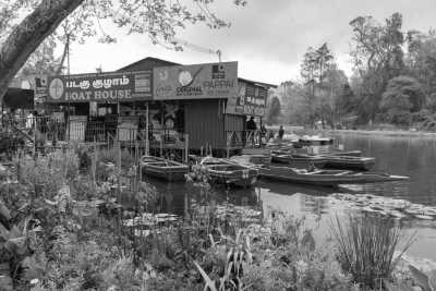 India - Kodaikanal - Ancient South India: Experience the Exotic Ancient Temples and Enticing Hills of Tamilnadu - 9