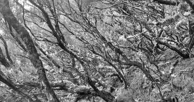 Portugal - Rabaçal - Tageswanderungen auf der Vulkaninsel Madeira mit schöner Standortunterkunft - 2