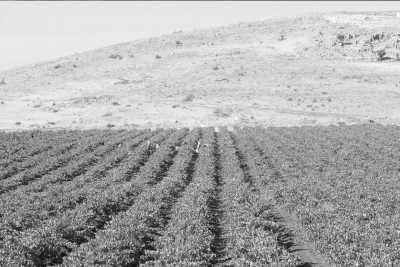 Libanon - Deria - Discover Lebanon's Coastline from Beirut to Batroun - 17