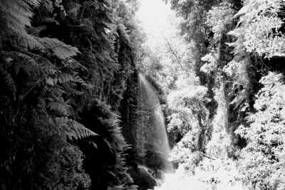 Spain - Santa Cruz de La Palma - Island-Hopping Canary Style: La Gomera, La Palma, Tenerife - Escape European autumn with us! ☀️