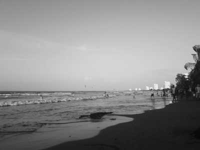 Colombia - Coveñas - Experience the Paradise of Colombia's Caribbean Coast on a Remarkable 30-Day Working Trip: Tolú, Playa El Francés, Coveñas, Isla Palma, Ciénaga la Caimanera and Cistapá Cay - 12