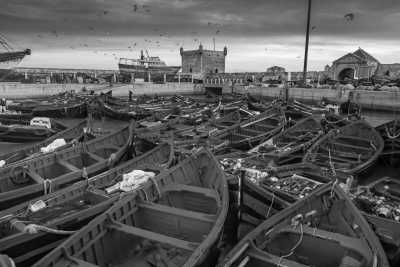 Marokko - Essaouira - 3 Days Trip: Marrakech - Essaouira🐟️& Agafay Desert, SUNSET☀️,CAMEL RIDE🐫 AND MUCH MORE 🌴⭐️⭐️! - 2