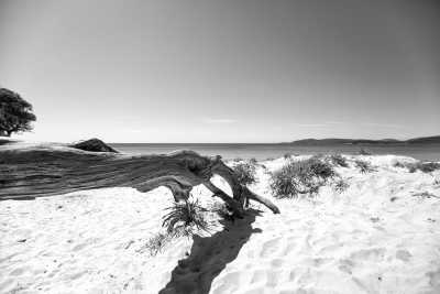 Italien - Alghero - Grotte di Nettuno - Yoga/Wellness/Adventure - Stay in an exclusive Seafront Villa with seaviews Jacuzzi in NW Coast Sardinia - October 2023 - 2