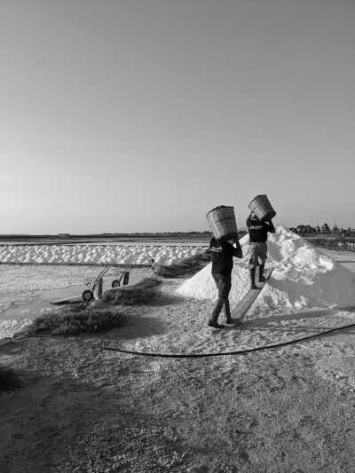 Italy - Marsala - Explore the West Coast of Sicily | Gastronomy & Rural Regeneration with a Local - 3