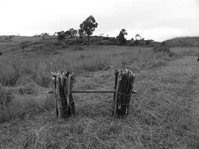 Madagascar - Belo Tsiribihina - Enchanting Madagascar: A Journey through Nature's Wonderland 🌍 - 1