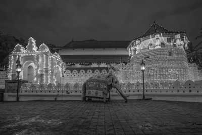 Sri Lanka - Kandy - Join the Ultimate Sri Lankan Extravaganza: Witness the Mesmerizing Kandy Esala Perahera, Indulge in Sri Lankan Food, and Explore Breathtaking Landscapes - 1