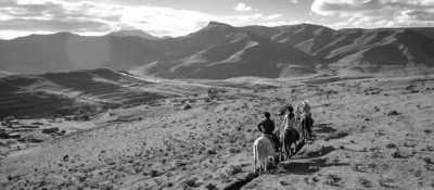 South Africa - Durban - Trip to Khotso, South Africa-Enjoy Horse Trails, Adventure and Wildlife ☀️🏇😊 - 6