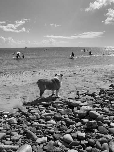 Spain - Arinaga - Wing Foil, Windsurfing, and Surfing in Gran Canaria, Escape the European Winter in Canary Islands - 3