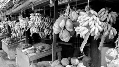 Oman - Salalah - The Coastal Road Trip from Muscat to Salalah, Oman - 2