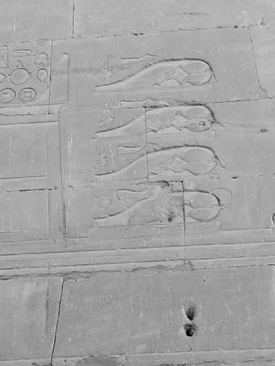 Egypt - Edfu Temple - Nile Delights: 3 Nights Cruise Tour, Aswan and Luxor Sightseeing Experience - 5