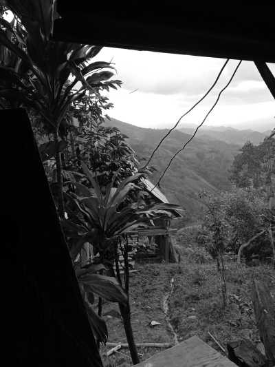 Colombia - Simūnūrwa - Colombia Guided Trip: Nabusimake,  Sierra Nevada de Santa Marta Trekking in a Coffe Finca of a Mamo Elois - 1