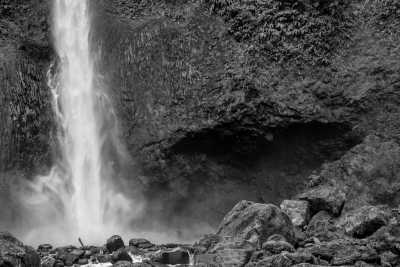 Costa Rica - Guapiles - Caribbean Coast Exploration in Costa Rica with a Local Guide: Discover the Hidden Gems! - 4