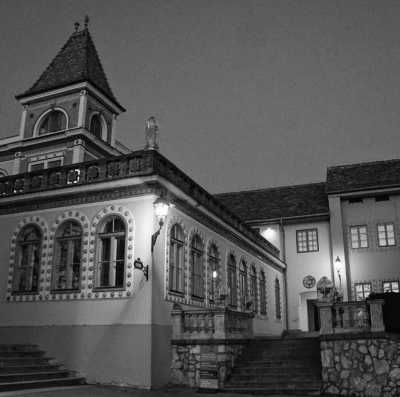 Hungary - Pécs - Rural Roadtrip - Winter Hungary - Culture, Nature, Wildlife