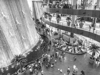 United Arab Emirates - Dubai - Exploring the pure lifestyle in Dubai 🇦🇪 - 9