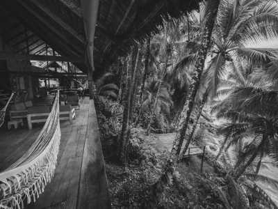 Colombia - Punta Brava - Whale Watching in Nuquí - Colombia: An Adventure to Remember - 4