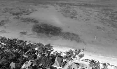 Tanzania - Kiwengwa - Get to know the best of Zanzibar 🏝️ - 20