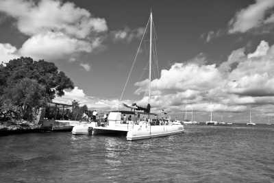 Dominikanische Republik - Saona Island - Explore dominican republic Hidden Gem: Punta cana