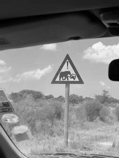 Subsahara-Afrika - Flughafen O. R. Tambo - Echoes of the Wild: A Journey from Kruger's Big Five to Mozambique's Whale Wonders