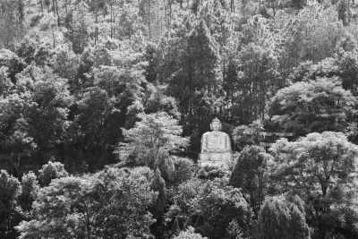 Nepal - Phulchowki - Discover the Western Charms of Nepal: A Journey through Culture, Nature, and Adventure - 2