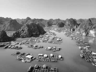 Vietnam - Cát Bà Island - 🇻🇳 Iconic Vietnam Unveiled: From Emerald Bays to Lantern-lit Streets 🏮 - 2