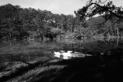 Vietnam - Cafe Mợ Jen - Escape to Dalat and Forest Camping - Short Trip to Vietnam - 1