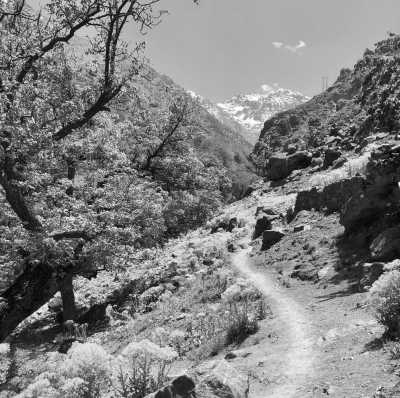 Morocco - Aroumd - Treasure Hunt: Hiking, Nature and Healthy Diet in Toubkal Region, Morocco, Charming Hotel All Included - 3