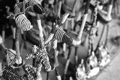 South Africa - King Shaka International Airport - South African Odyssey: From Cape Town to Kruger and Beyond - 3