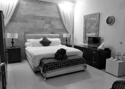 Indonesia - Oase Van Java - Hiking Mount Andong: Mountian for Beginner, Outdoor Activity With Stunning Scene in Indonesia - 3