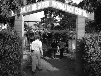 Kamerun - Limbe Botanic Garden - Discover Cameroon with a local. History, Culture, Food and much more! 🧗 - 1