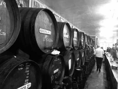 Spain - Muelle Uno - Spain Málaga Active Escape: Pádel • Sunny Beaches • Authentic Paella Cooking Experience  • Scenic viewpoints (Private Rooms)🌄🥘🏸 - 4